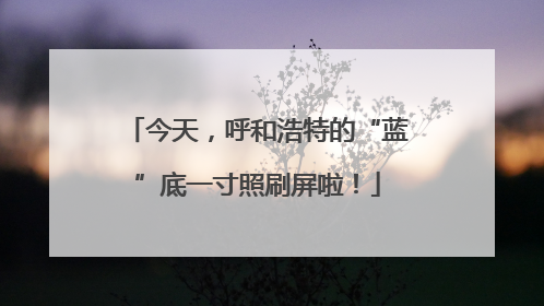 今天，呼和浩特的“蓝”底一寸照刷屏啦！