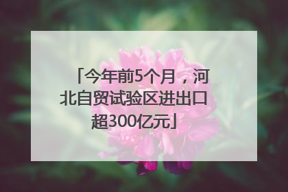 今年前5个月，河北自贸试验区进出口超300亿元