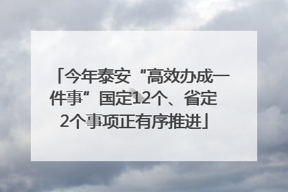 今年泰安“高效办成一件事”国定12个、省定2个事项正有序推进