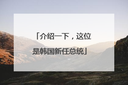 介绍一下，这位是韩国新任总统