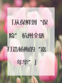 从保鲜到“保险” 杭州全链打造杨梅的“嘉年华”