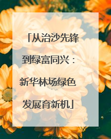 从治沙先锋到绿富同兴：新华林场绿色发展育新机