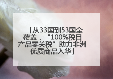 从33国到53国全覆盖，“100%税目产品零关税”助力非洲优质商品入华