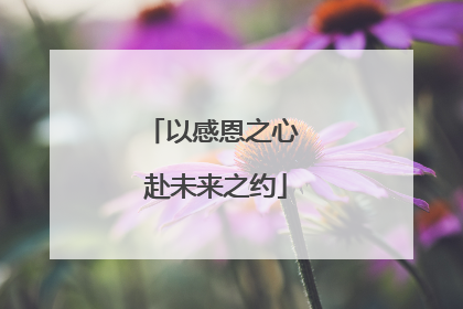 以感恩之心 赴未来之约