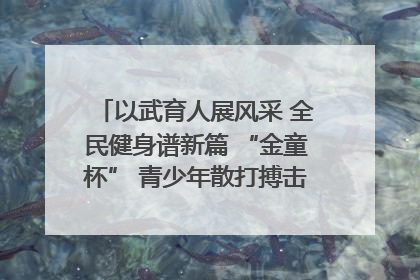 以武育人展风采 全民健身谱新篇 “金童杯” 青少年散打搏击邀请赛圆满落幕