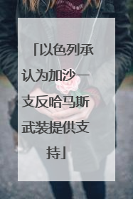 以色列承认为加沙一支反哈马斯武装提供支持