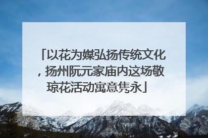 以花为媒弘扬传统文化，扬州阮元家庙内这场敬琼花活动寓意隽永