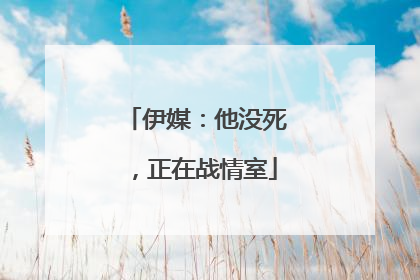 伊媒：他没死，正在战情室