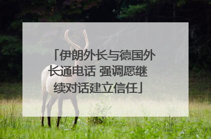 伊朗外长与德国外长通电话 强调愿继续对话建立信任