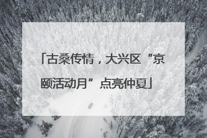 古桑传情，大兴区“京颐活动月”点亮仲夏