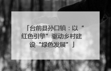 台前县孙口镇：以“红色引擎”驱动乡村建设“绿色发展”