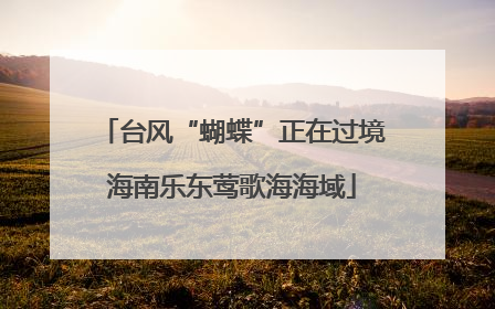 台风“蝴蝶”正在过境海南乐东莺歌海海域