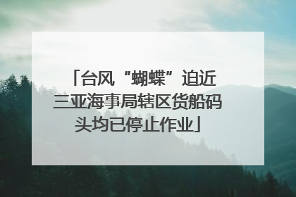 台风“蝴蝶”迫近 三亚海事局辖区货船码头均已停止作业