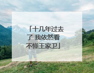 十几年过去了 我依然看不懂王家卫