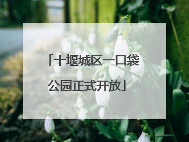 十堰城区一口袋公园正式开放