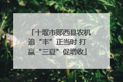 十堰市郧西县农机追“丰”正当时 打赢“三夏”促增收