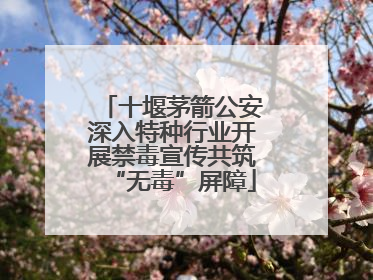十堰茅箭公安深入特种行业开展禁毒宣传共筑“无毒”屏障