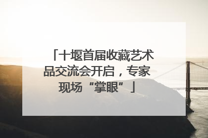 十堰首届收藏艺术品交流会开启，专家现场“掌眼”