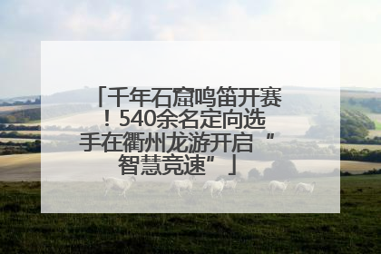 千年石窟鸣笛开赛！540余名定向选手在衢州龙游开启“智慧竞速”