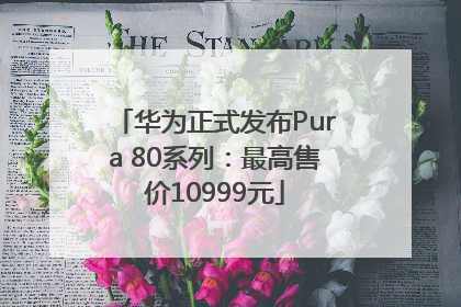 华为正式发布Pura 80系列：最高售价10999元
