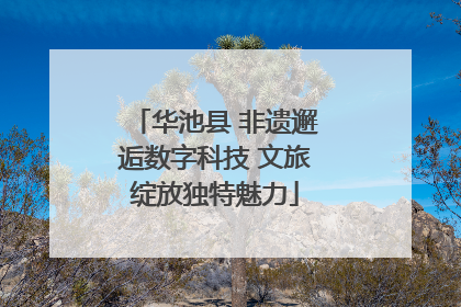 华池县 非遗邂逅数字科技 文旅绽放独特魅力