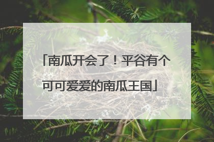 南瓜开会了！平谷有个可可爱爱的南瓜王国
