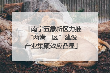南宁五象新区力推“两港一区”建设 产业集聚效应凸显