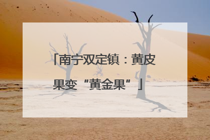 南宁双定镇：黄皮果变“黄金果”