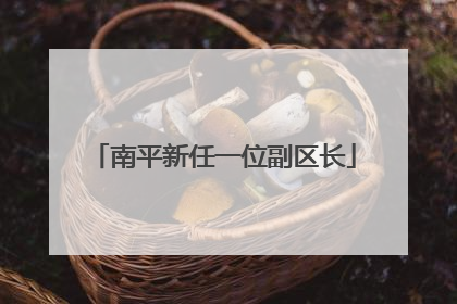 南平新任一位副区长