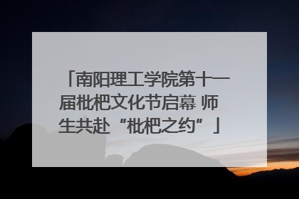 南阳理工学院第十一届枇杷文化节启幕 师生共赴“枇杷之约”