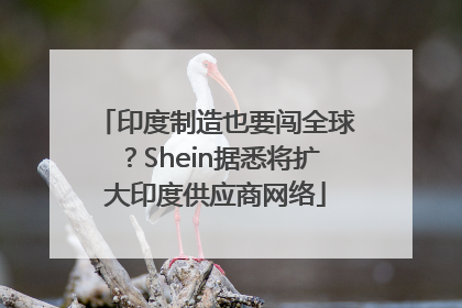 印度制造也要闯全球？Shein据悉将扩大印度供应商网络