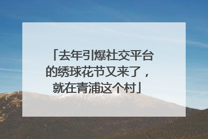 去年引爆社交平台的绣球花节又来了，就在青浦这个村