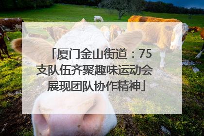 厦门金山街道：75支队伍齐聚趣味运动会 展现团队协作精神