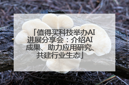 值得买科技举办AI进展分享会：介绍AI成果、助力应用研究、共建行业生态