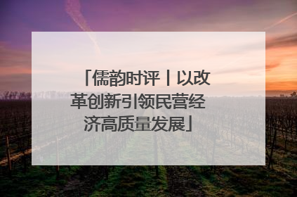 儒韵时评丨以改革创新引领民营经济高质量发展