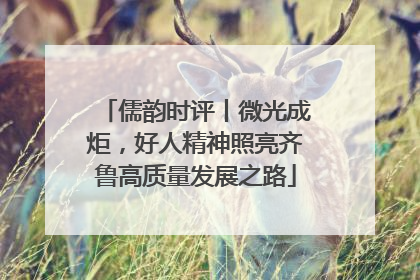 儒韵时评丨微光成炬，好人精神照亮齐鲁高质量发展之路