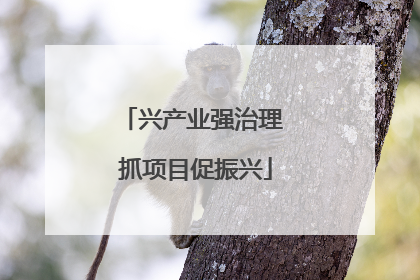 兴产业强治理 抓项目促振兴