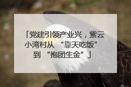 党建引领产业兴，紫云小湾村从 “靠天吃饭” 到 “抱团生金”