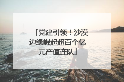党建引领！沙漠边缘崛起超百个亿元产值连队
