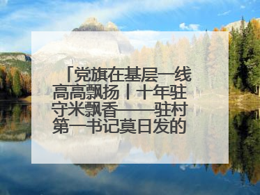 党旗在基层一线高高飘扬丨十年驻守米飘香——驻村第一书记莫日发的乡村印记