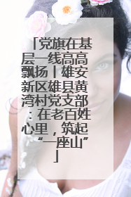 党旗在基层一线高高飘扬丨雄安新区雄县黄湾村党支部：在老百姓心里，筑起“一座山”