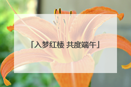 入梦红楼 共度端午