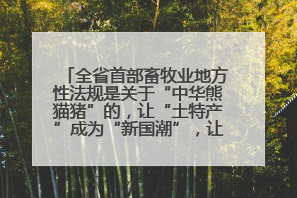 全省首部畜牧业地方性法规是关于“中华熊猫猪”的，让“土特产”成为“新国潮”，让“农产品”升格为“城市IP”