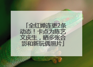 全红婵连更2条动态！卡点为陈艺文庆生，晒多张合影和新玩偶照片