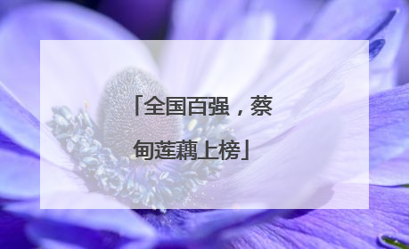 全国百强，蔡甸莲藕上榜
