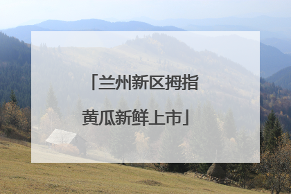 兰州新区拇指黄瓜新鲜上市