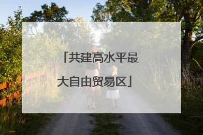 共建高水平最大自由贸易区