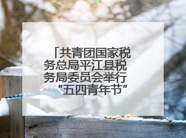 共青团国家税务总局平江县税务局委员会举行“五四青年节”主题团日活动