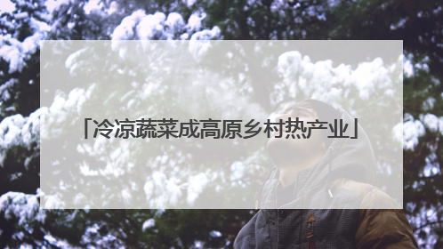 冷凉蔬菜成高原乡村热产业