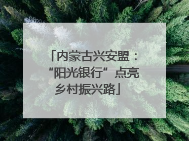 内蒙古兴安盟：“阳光银行”点亮乡村振兴路
